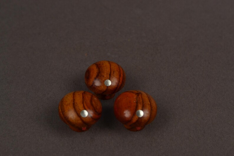 Pu&ograve; includere: Tre pomelli rotondi in legno con finitura lucida e venature del legno marrone scuro visibili. Ogni pomello presenta un piccolo inserto metallico circolare di colore argento centrato sulla superficie superiore, creando un contrasto.