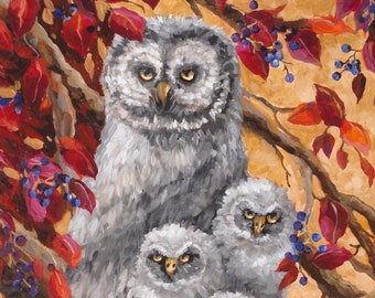 Print Of " Great Gray Owl Family"  Size 8 In. x 10 In. In 11 In x 14 In Double White Mat