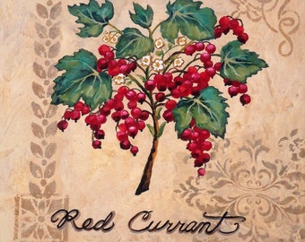 Hand Painted Rustic Venetian Botanical Red Currant Art