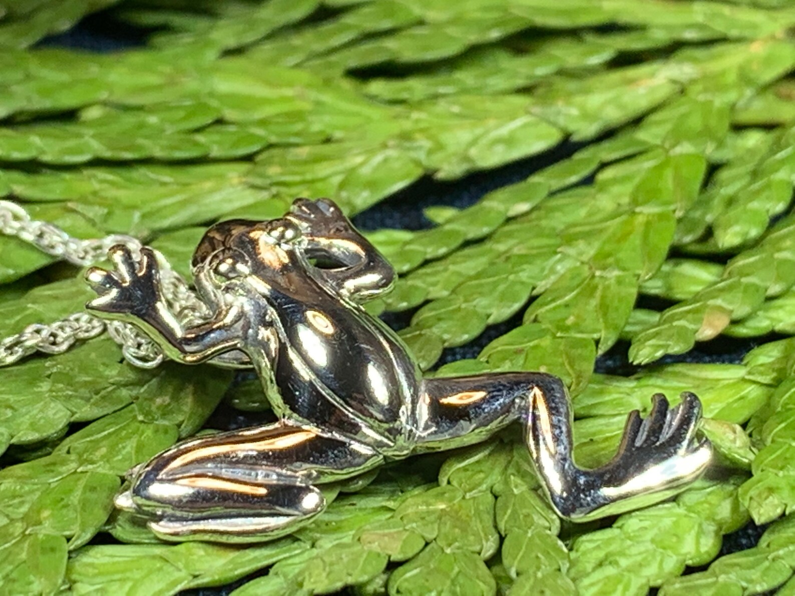 Frog Necklace Tree Frog Jewelry Nature Jewelry Animal Etsy