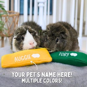 Custom Guinea Pig Pillow with Name, Fleece Guinea Pig Toy for Small Pet Cage, Guinea Pig Bed, Gift for Guinea Pig Owner Gift, Pet Rodent Toy