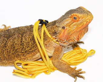 Reptile Harness For Bearded Dragons Reptile Leash One Size Fits Most Reptile Harness For Outdoors Reptile Leash Colorful Pet Leash Lizards