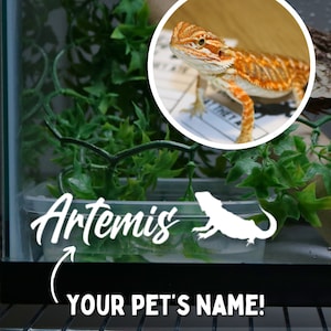 May include: A clear glass terrarium with a green leafy plant, a brown branch, and a white silhouette of a lizard. The terrarium has a white label with the text "Artemis" and the words "Your Pet's Name!"