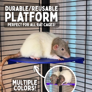 May include: A blue corner platform for a wire cage with a white and grey rat standing on it. Text reads: DURABLE/REUSABLE PLATFORM PERFECT FOR ALL RAT CAGES! MULTIPLE COLORS! An inset circle shows two rats on a purple version of the same platform.