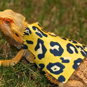 May include: A yellow and black leopard print fabric vest for a reptile, worn by a bearded dragon.