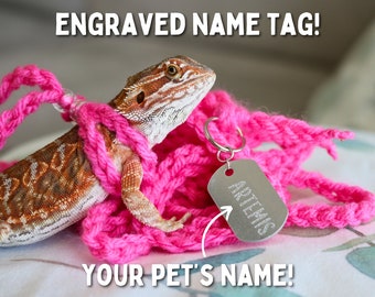 Bearded Dragon Leash with Engraved Pet Name Tag, Personalized Gift for Bearded Dragon Owner, Personalized Reptile Harness for Reptile Leash