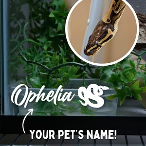 Ball Python Name Decal for Ball Python Enclosure Accessories for Royal Python Tank Stickers for Reptile Enclosure Custom Snake Name Decal