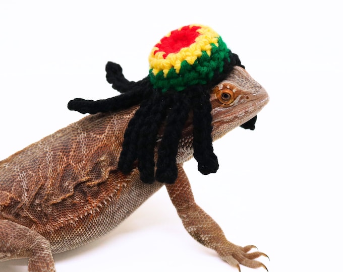 Bearded Dragon Rasta Cap for Lizard Clothing and Accessory for Bearded Dragon Clothing for Reptile Jamaican Headwear for Pet Rastafarian Cap