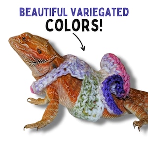 Bearded Dragon Dress for Bearded Dragon Clothing for Reptile Clothing and Accessory for Bearded Dragon Sweater for Bearded Dragon Tutu