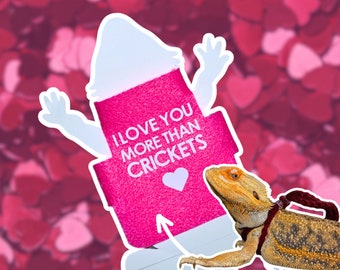 Funny Valentine's Day Bearded Dragon Shirt Adjustable Heart Bearded Dragon Accessories For Reptile Holiday Clothing For Lizard Accessories