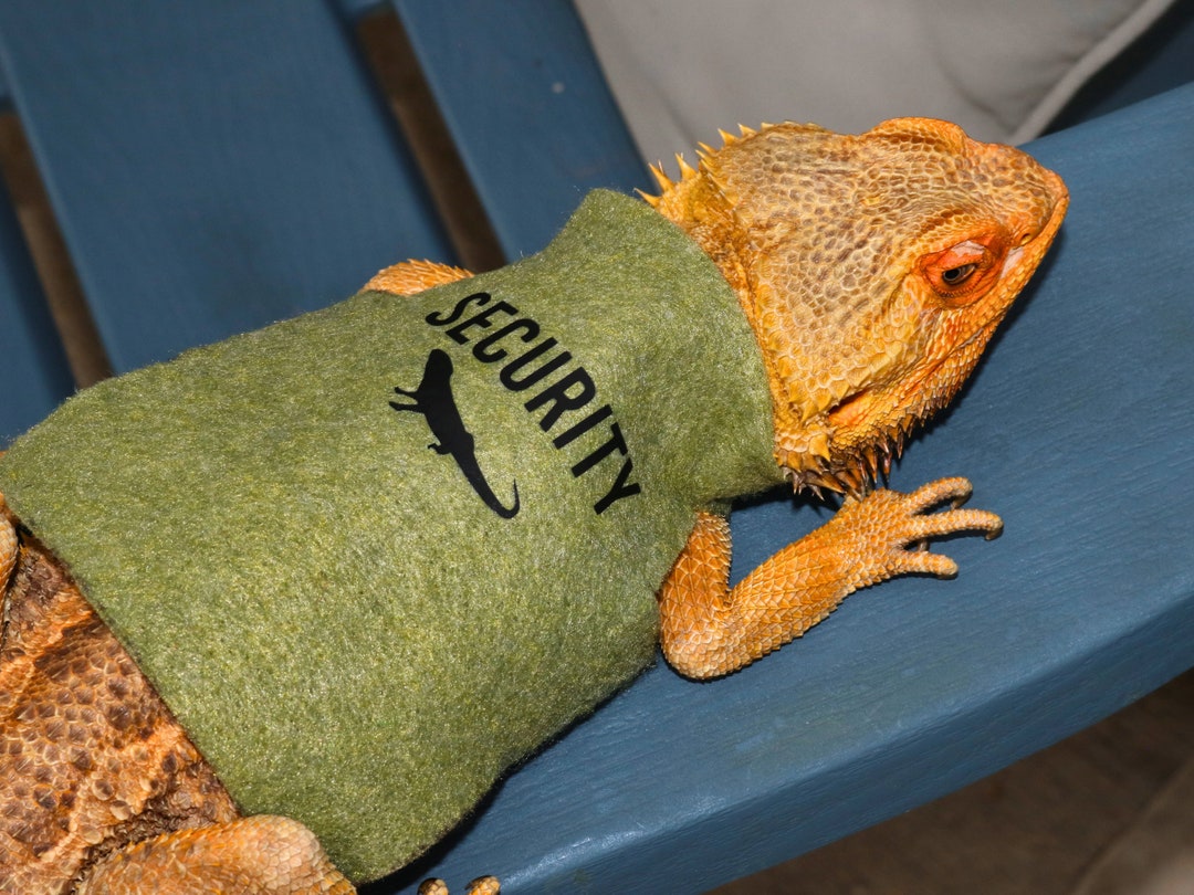 Beardie Funny Bearded Dragon Videos Security Animal Shirt For Bearded  Dragon Funny Shirt For Bearded