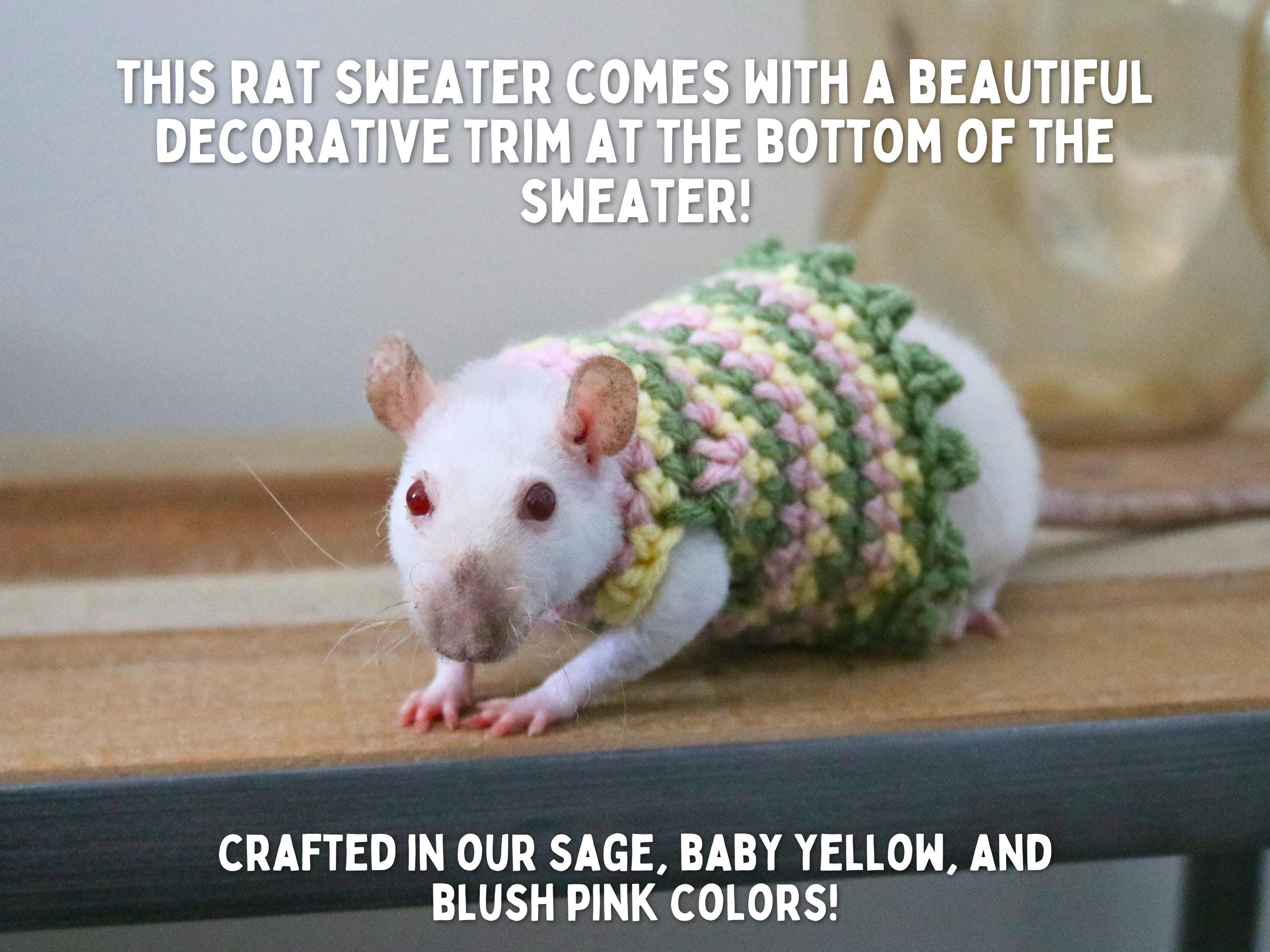 Clothes For Rats Tutorial Rat Sweater for Rat Crochet Sweater for Small Pet Sweater for Fancy Rat ...