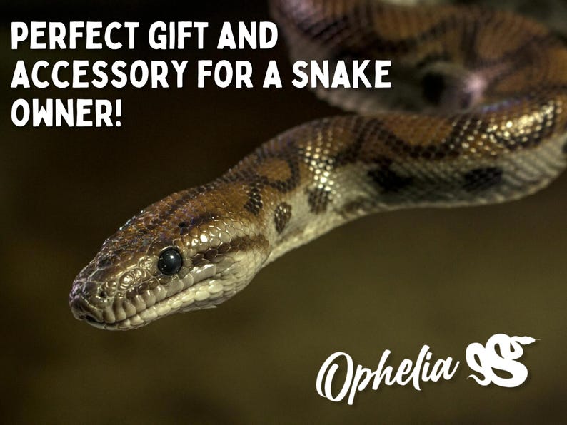 May include: A close-up of a brown and black snake with a white eye. The snake is curled up and has a textured skin. The text "PERFECT GIFT AND ACCESSORY FOR A SNAKE OWNER!" is written above the snake. The text "Ophelia SS" is written below the snake.