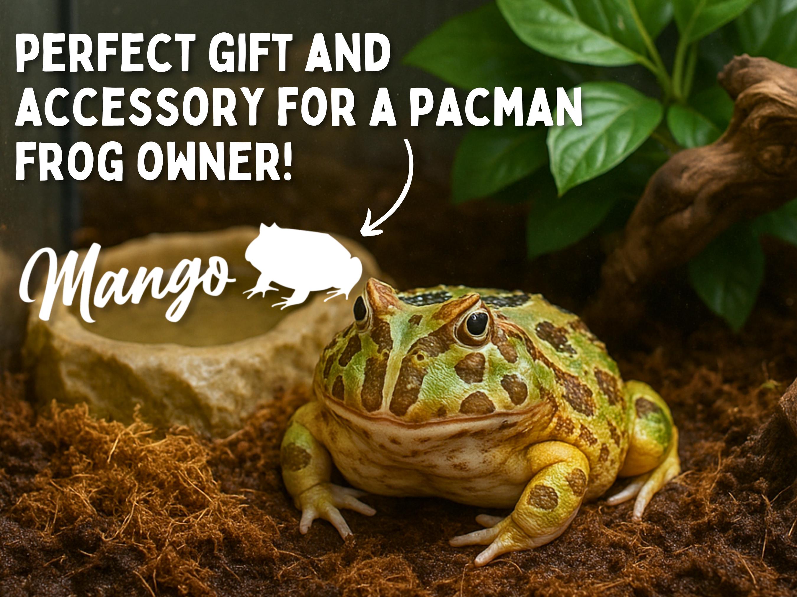 Pacman Frog Name Decal for Frog Enclosure Accessories for Pacman