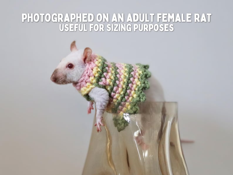 Clothes For Rats Tutorial Rat Sweater for Rat Crochet Sweater for Small Pet Sweater for Fancy Rat ...