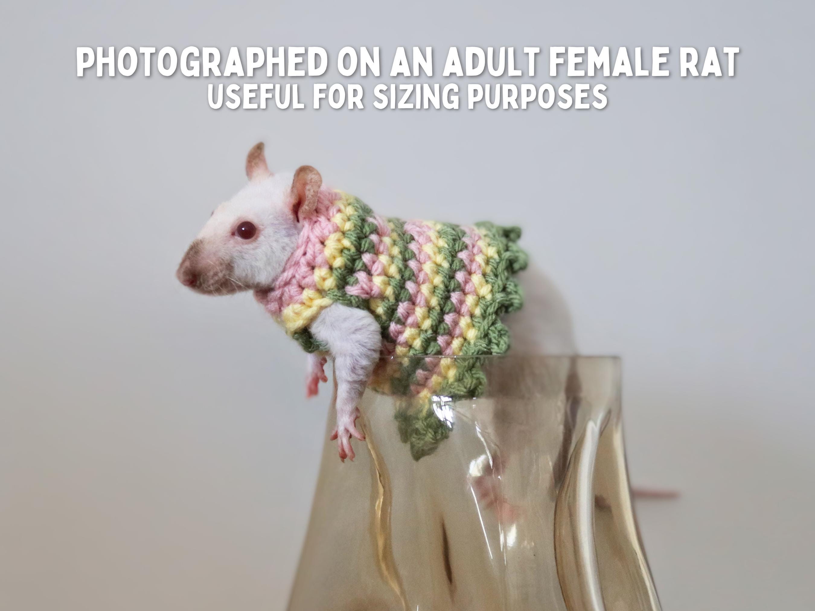 Rat Sweater for Rat Crochet Sweater for Small Pet Sweater for