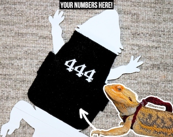 Angel Numbers Shirt For Bearded Dragon Funny Shirt For Bearded Dragon Clothing Zodiac, Numerology Shirt Custom Pet Bearded Dragons Accessory