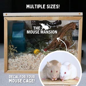 Mouse Cage Decal for Fancy Mouse Cage Accessory for Mouse Enclosure Sticker for Small Pet Cage Accessory for Cute Rodent Cage Sticker