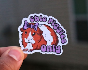 Guinea Pig Sticker for Guinea Pig Owner Gift, Cavy Accessories, Cage Stickers for Guinea Pigs Chic Stickers for Stanley Water Bottle Sticker