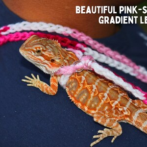 May include: A bearded dragon wearing a pink and white crocheted leash. The leash is a gradient of pink and white colors. The text "BEAUTIFUL PINK-SCALE GRADIENT LEASH!" is visible in the image.
