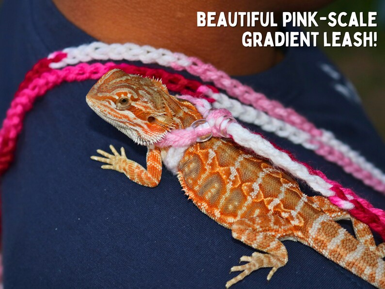 May include: A bearded dragon wearing a pink and white crocheted leash. The leash is a gradient of pink and white colors. The text "BEAUTIFUL PINK-SCALE GRADIENT LEASH!" is visible in the image.