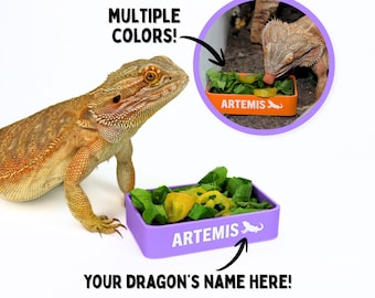 Personalized Bearded Dragon Name Bowl | Reptile Terrarium Accessories for Bearded Dragon Enclosure, Custom Reptile Bowl