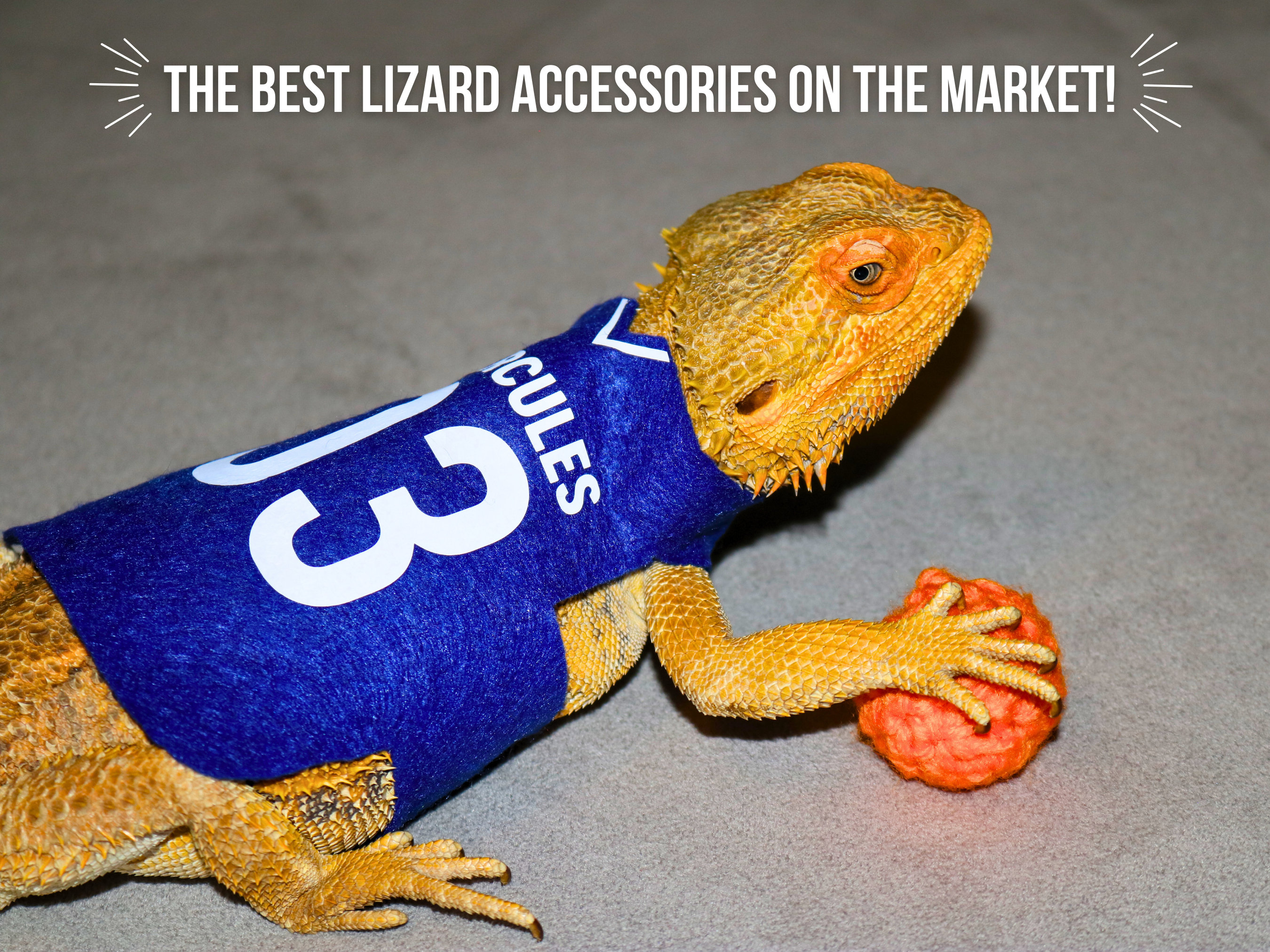Braggin Dragonテニス ブラギンドラゴン ビームス ラコステ Basketball Jersey for Bearded Dragon Costume Sports Jersey for