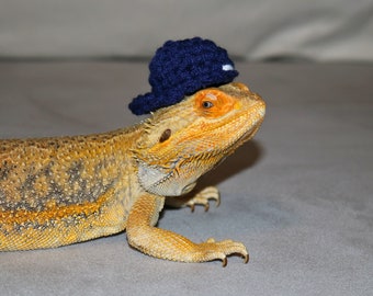 Bearded Dragon Hat For Reptile Clothing Accessories, Baseball Cap for Pet Lizard Hat For Bearded Dragon Clothing For Reptile Gifts For Pets