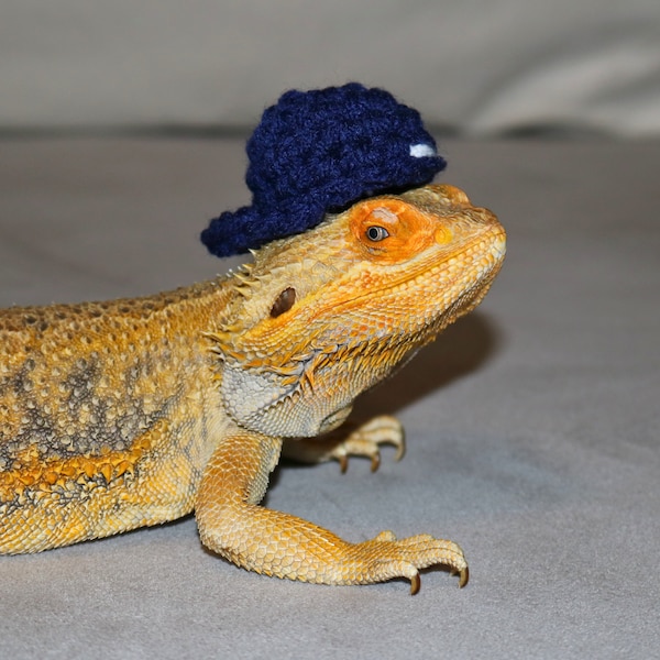Bearded Dragon Hat For Reptile Clothing Accessories, Baseball Cap for Pet Lizard Hat For Bearded Dragon Clothing For Reptile Gifts For Pets