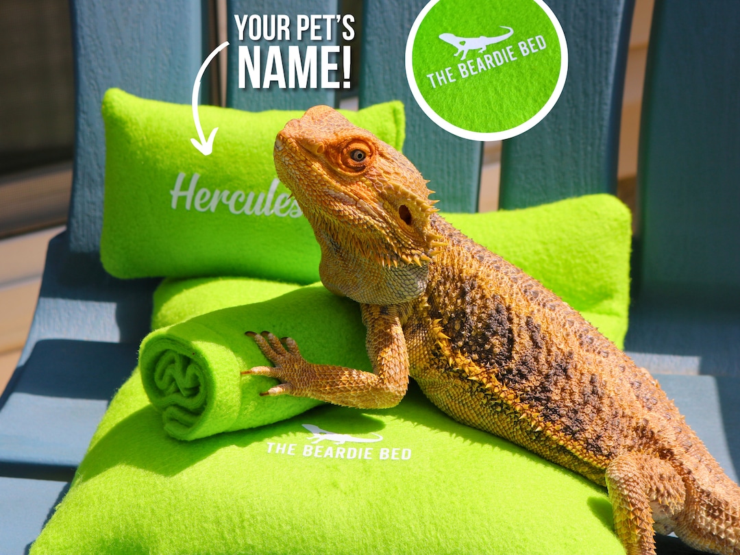 Bearded Dragon Bed the Beardie Bed Lizard Reptile Accessories for