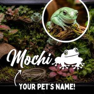 以下が含まれることがあります： 苔むした枝にとまる明るい緑色のアマガエル、ココナッツの殻の隠れ家、小さな水入れ、緑豊かな植物が配置されたテラリウム。MochiおよびYOUR PET'S NAME!という文字と、白いカエルのシルエットのグラフィックが表示されています。