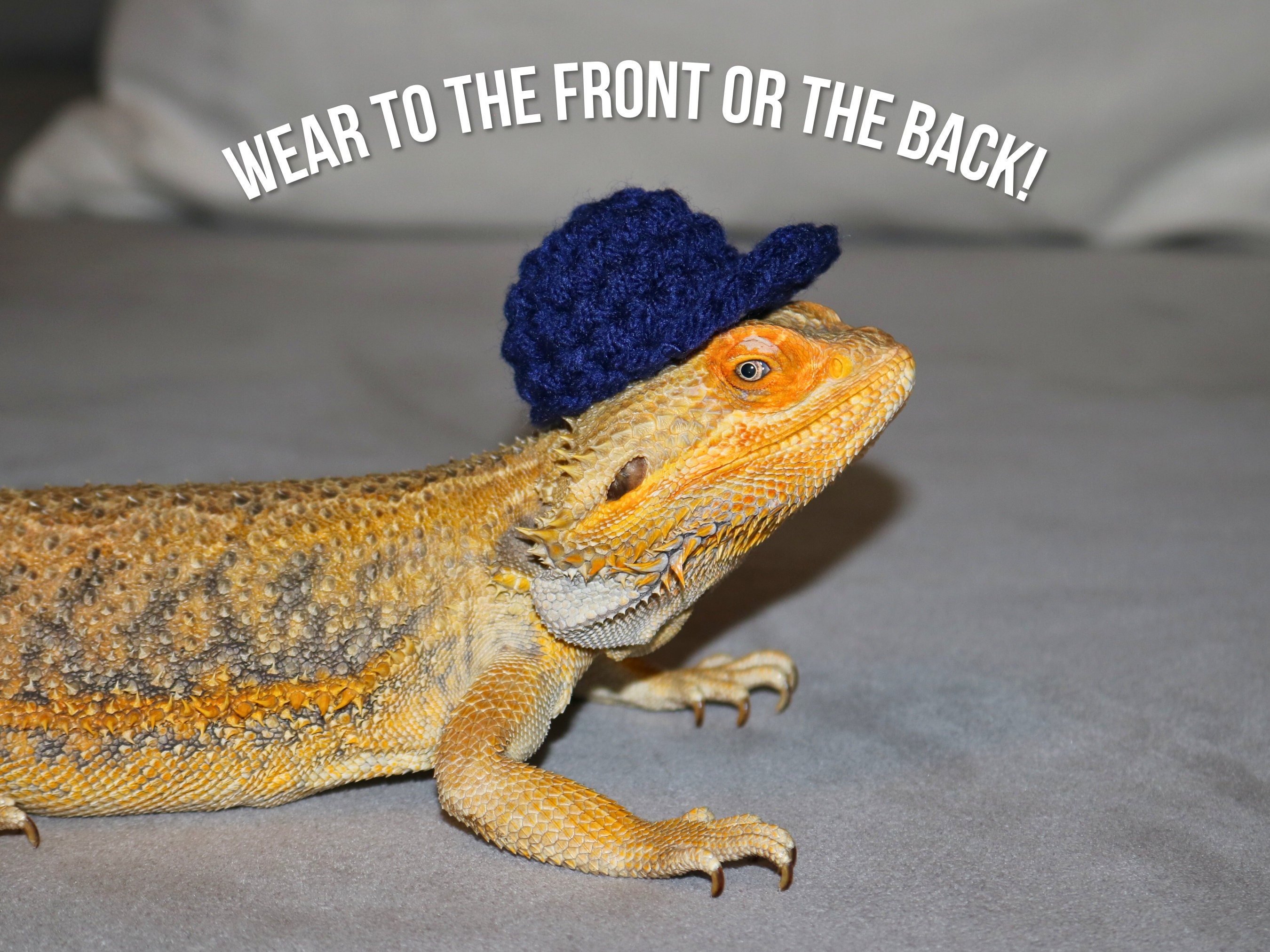 Small Pet Hat CQJ Bearded Dragon Funny Hat - Bullhorn Ball Cap For Lizards,  Snakes, Small Pets (Green) Lizard Costume Hat