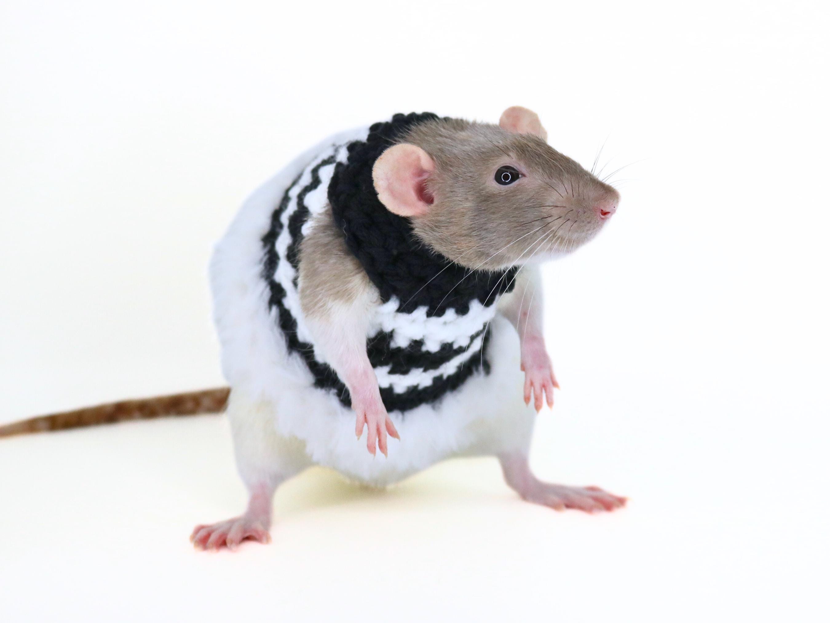 Striped Rat Sweater for Rat Crochet Sweater for Small Pet Dress 