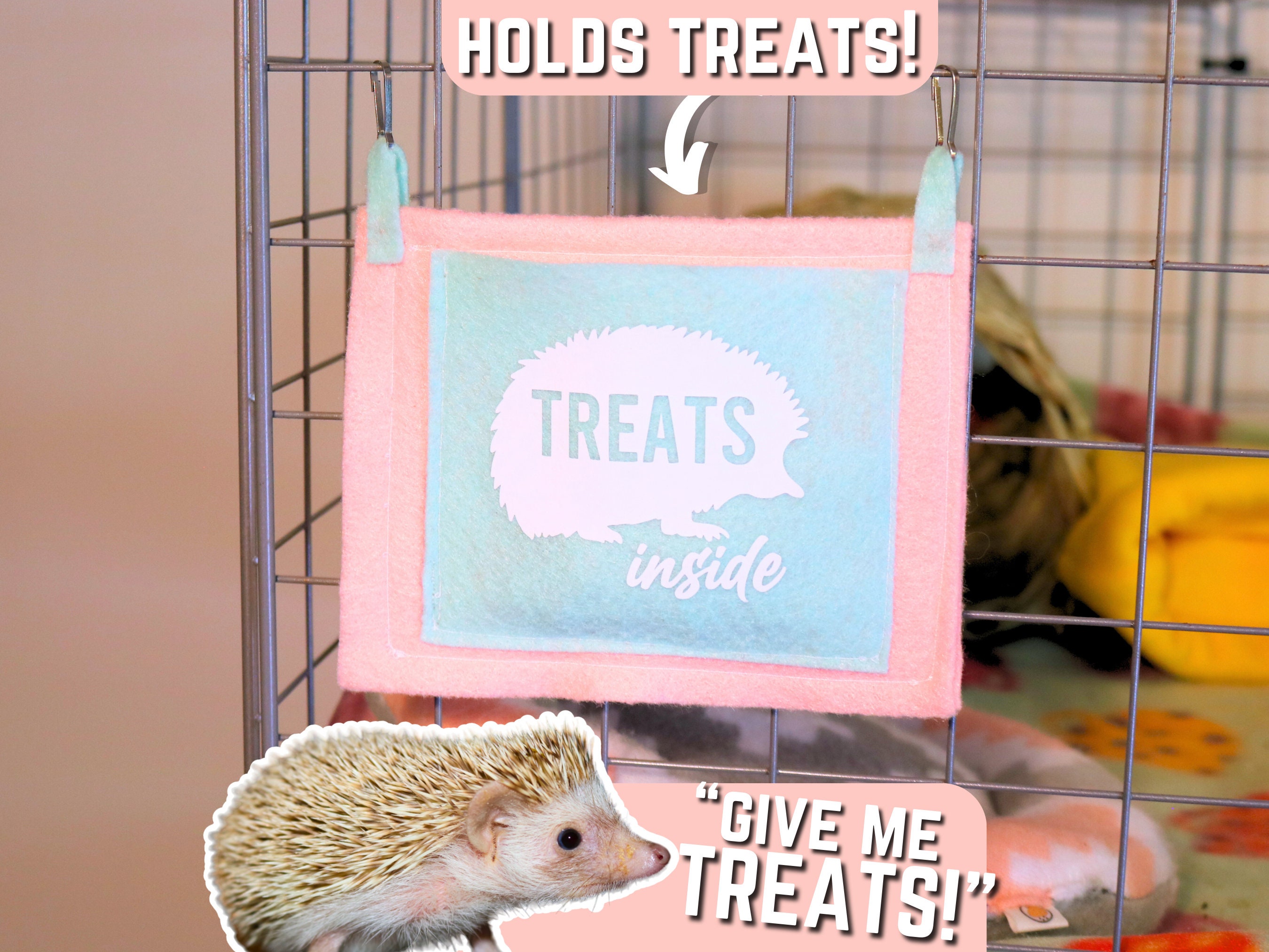 Pet hedgehog accessories discount
