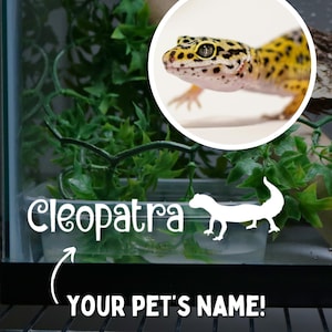 May include: A clear glass terrarium with a green leafy plant, a brown log, and a white silhouette of a lizard. The terrarium has a white label that says "Cleopatra" and the text "Your Pet's Name!" below the label.