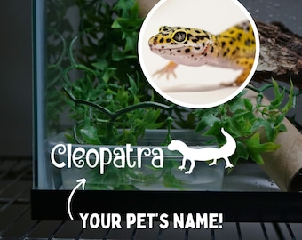 Leopardgecko Name Aufkleber für Leopardgecko Gehege Zubehör für Eidechse Tank Aufkleber für Eidechse Benutzerdefinierter Name Aufkleber für Reptilienpanzer