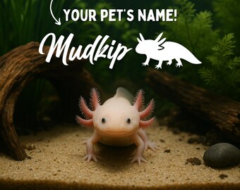 Axolotl Name Decal for Axolotl Habitat Decal for Axolotl Tank Stickers for Amphibian Custom Name Sticker for Pet Name Decal | Amphibian Gift