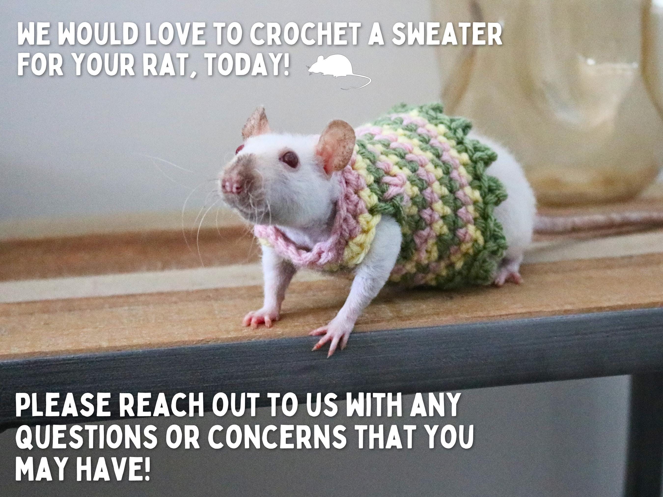 Clothes For Rats Tutorial Rat Sweater for Rat Crochet Sweater for Small Pet Sweater for Fancy Rat ...