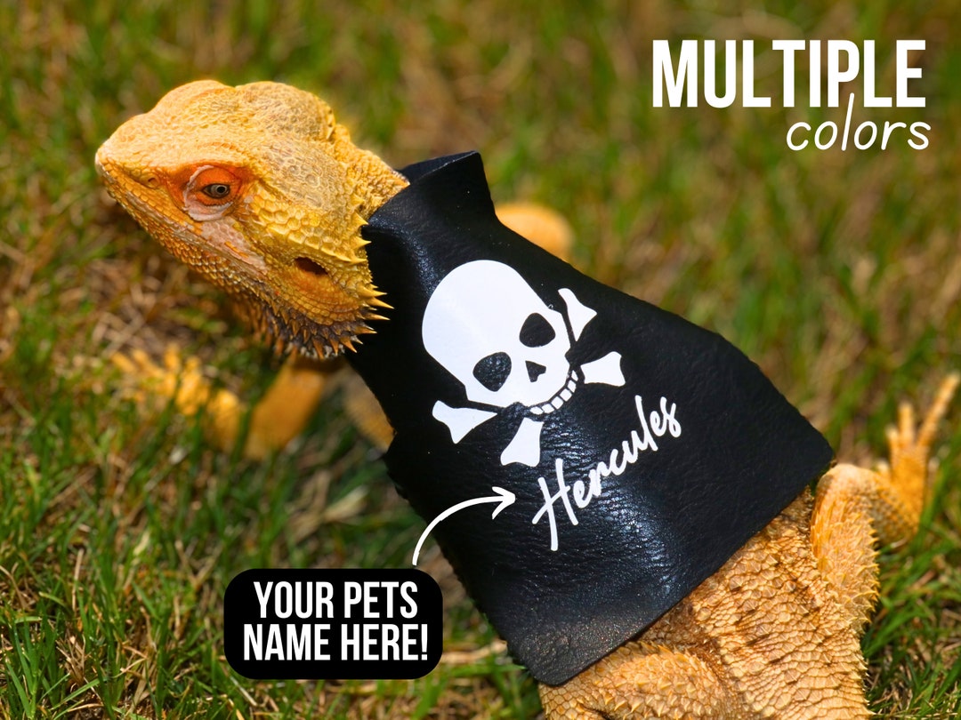 Leather Jacket for Bearded Dragon Clothing for Bearded Dragon