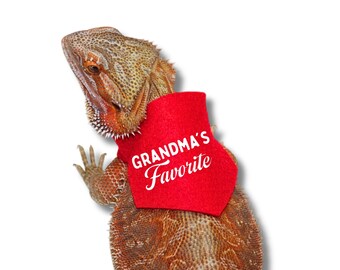 Bearded Dragon Bandana for Lizard Custom Handkerchief For Grandma's Favorite Bandana for Bearded Dragon Funny Clothing for Lizard Bandana