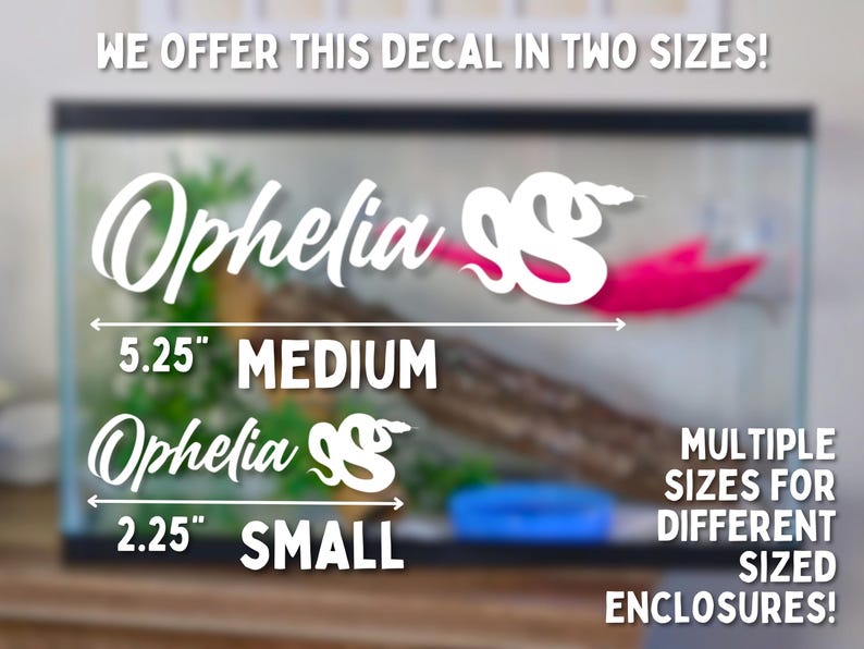 May include: White vinyl decal of a snake with the name "Ophelia" written in cursive. The decal is available in two sizes: 5.25 inches (medium) and 2.25 inches (small).