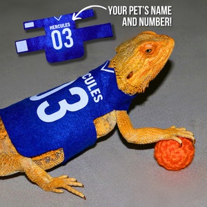 Basketball Jersey For Bearded Dragon Costume Sports Jersey For Reptile Lizards Clothing Sports Costume Soccer Shirt For Pet Bearded Dragon