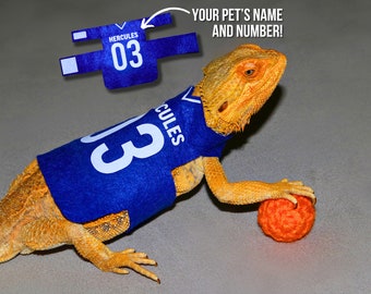 Basketball Jersey For Bearded Dragon Costume Sports Jersey For Reptile Lizards Clothing Sports Costume Soccer Shirt For Pet Bearded Dragon