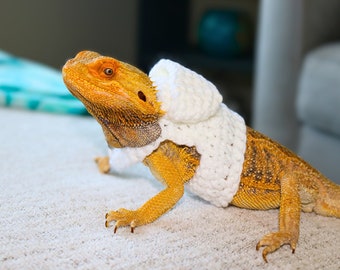 Bearded Dragon Hoodie for Pet Lizard Clothing for Pets Reptile