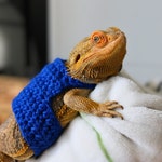Lizard Clothing