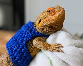 Bearded Dragon Sweater, Lizard Sweater, Lizard Shirt, Bearded Dragon Halloween Costume For Pets, Designer Lizard Sweater