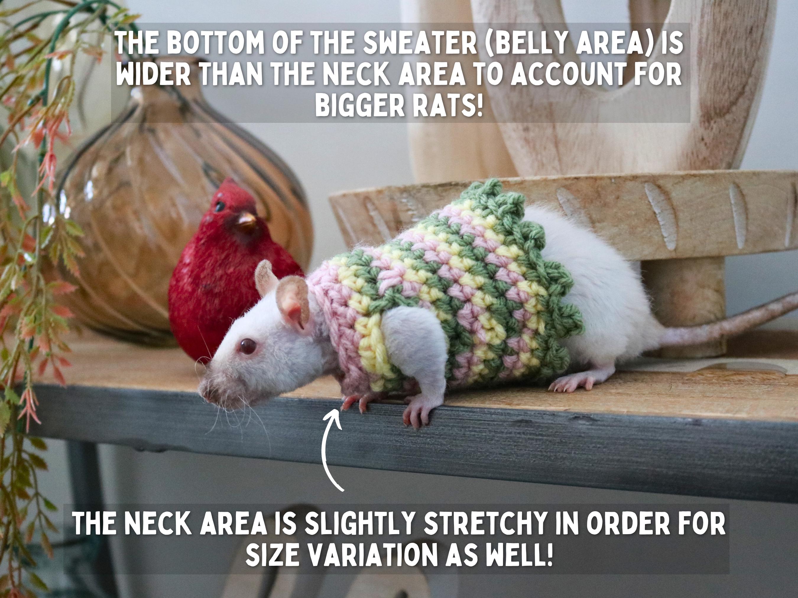 Clothes For Rats Tutorial Rat Sweater for Rat Crochet Sweater for Small Pet Sweater for Fancy Rat ...