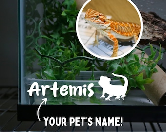 Calcomanía de dragón barbudo para su recinto, accesorios para tanque de dragón barbudo, pegatinas para lagarto, pegatinas con nombre personalizado para lagartos.