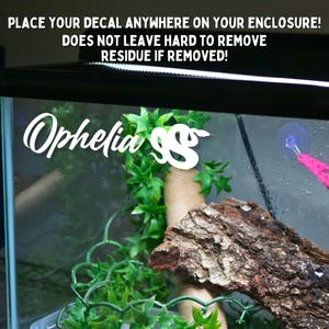 May include: White vinyl decal with the text "Ophelia SS" on a glass terrarium with green plants and a brown piece of wood. The decal is designed to be placed on any smooth surface.