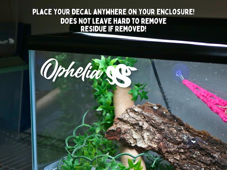 May include: White vinyl decal with the text "Ophelia SS" on a glass terrarium with green plants and a brown piece of wood. The decal is designed to be placed on any smooth surface.